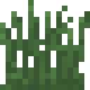liu_bili